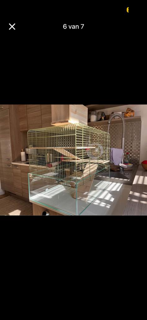 Hamsterkooi/ gerbil kooi met toebehoren, Ophalen