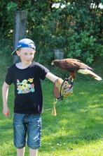 🎉 Anniversaire enfant avec rapace et animaux 🦅, Ophalen, Nieuw