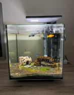 Aquarium, Ophalen, Zo goed als nieuw