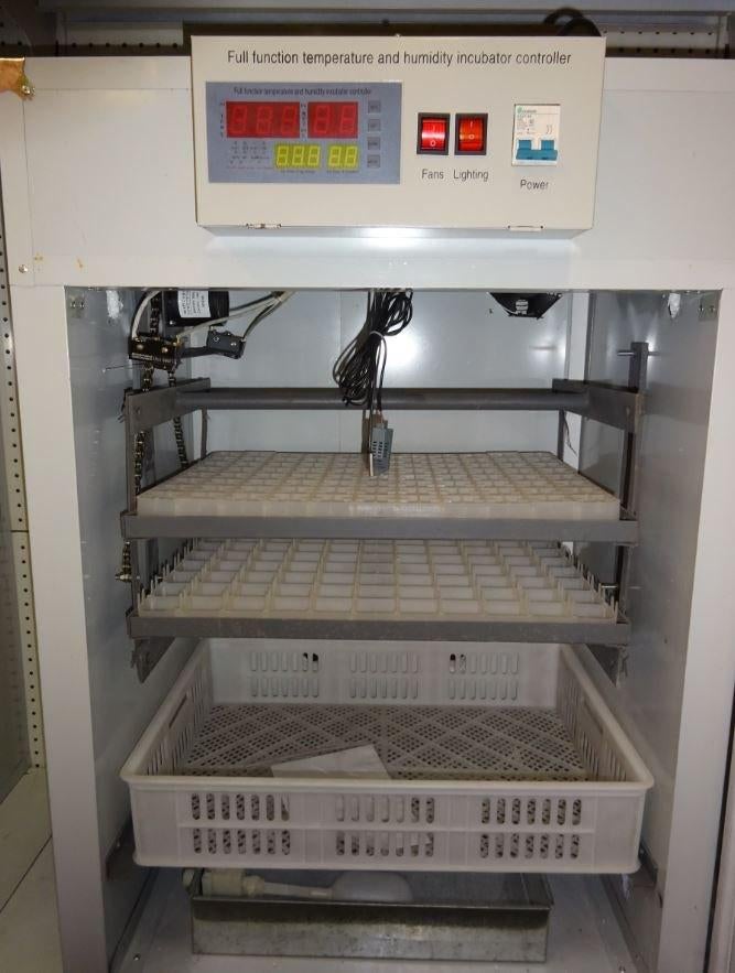 BROEDMACHINE VOOR 264 EIEREN MET AUTOMATISCH VOCHT, Animaux & Accessoires, Volatiles | Accessoires, Enlèvement, Couveuse