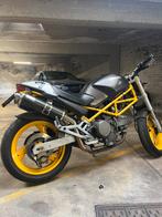 Ducati Monster 600, Motos, Motos | Ducati, 600 cm³, 2 cylindres, Sport, Particulier