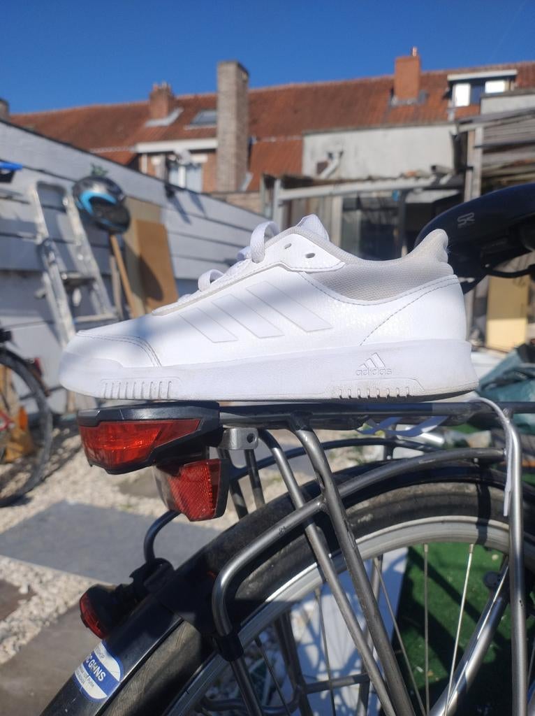 Chaussure sport, Enlèvement ou Envoi