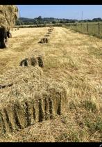 Kleine balen hooi, Dieren en Toebehoren, Dierenvoeding, Ophalen, Vee