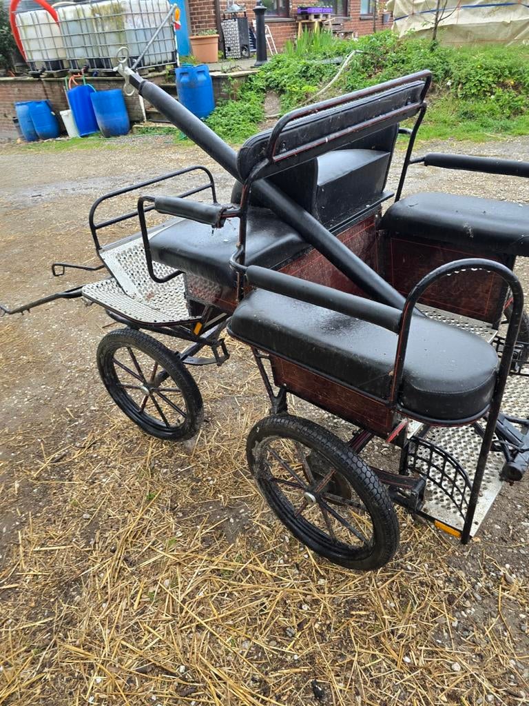 Marathon koetsje, Pony