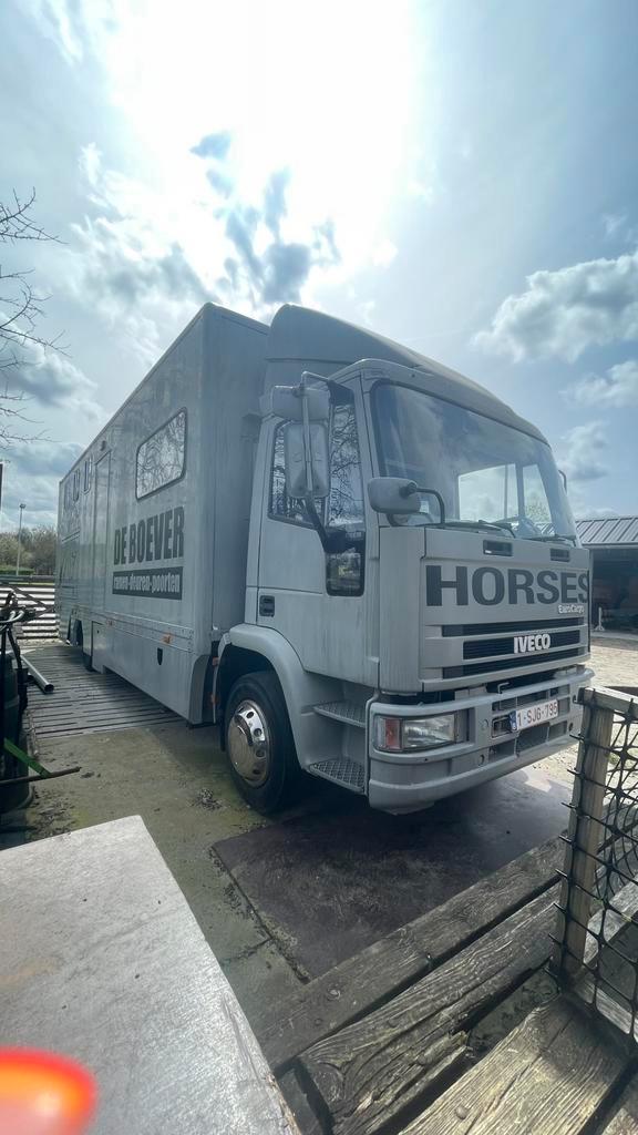 Paardenvrachtwagen + mobilhome voor 4 paarden, Dieren en Toebehoren, Paarden en Pony's | Trailers en Aanhangwagens, Ophalen