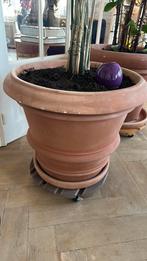 Grand pot de fleurs en terre cuite, Enlèvement, Comme neuf