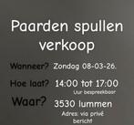 Verkoop 08-03 in lummen, Enlèvement