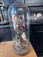 Globe/stolp met opgezette vogel en natuurelementen, Antiek en Kunst, Ophalen