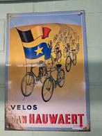 Reclame bord Van Hauwaert, Ophalen of Verzenden, Reclamebord