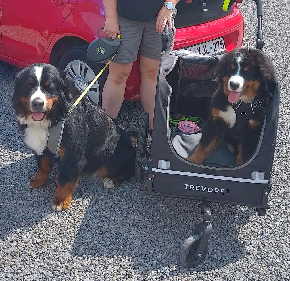 Vélo/chariot de promenade pour chien, Vélos & Vélomoteurs, Remorque pour chien, Pliable, 20 à 40 kg, Comme neuf