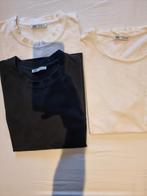 T-shirt, Kleding | Heren, T-shirts, Ophalen of Verzenden