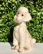 Vintage poedel puppy/ poodle puppy, Ophalen of Verzenden