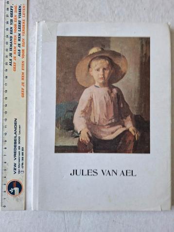 Zeldzaam kunstboek Jules Van Ael door Juliaan Haest  beschikbaar voor biedingen