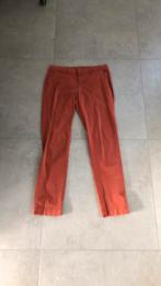 Terracotta broek Didi 38, Vêtements | Femmes, Culottes & Pantalons, Taille 38/40 (M), Porté, Didi, Enlèvement ou Envoi