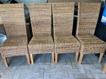 8 Rieten stoelen beschikbaar voor biedingen