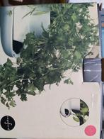 Kruidenpot met eenvoudig bewateringssysteem, Tuin en Terras, Ophalen of Verzenden, Nieuw