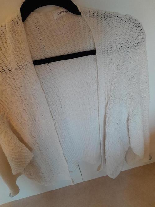 Paprika trui wit, Kleding | Dames, Truien en Vesten, Zo goed als nieuw, Maat 42/44 (L), Wit, Ophalen of Verzenden