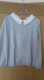 Trui met rugdetail, Ophalen of Verzenden, Zo goed als nieuw, Maat 38/40 (M)