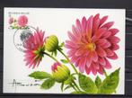 Année 2007 : Carte maximum 3721 - Dahlia - Buzin - Obli. Est, Ophalen of Verzenden