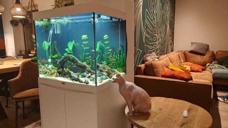 Aquarium Aqualantis volga 200, Dieren en Toebehoren, Vissen | Aquaria en Toebehoren, Zo goed als nieuw, Gevuld zoetwateraquarium