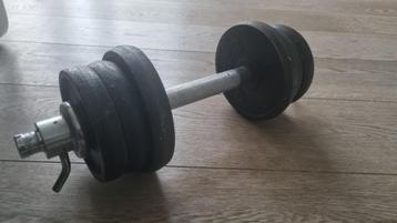 Gewicht: halter van 14 kg, Sport en Fitness, Ophalen of Verzenden, Zo goed als nieuw, Metaal, Overige typen