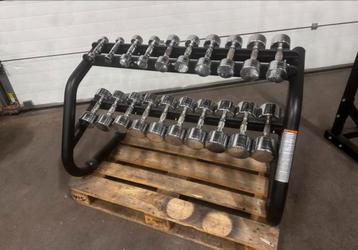 Technogym Chrome Dumbells 1kg t/m 10kg + Technogym Opbergrek beschikbaar voor biedingen