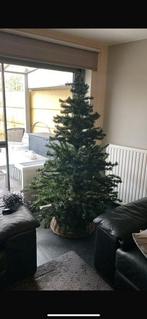 Kerstboom, Ophalen, Zo goed als nieuw