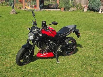 Moto Suzuki SV650 A