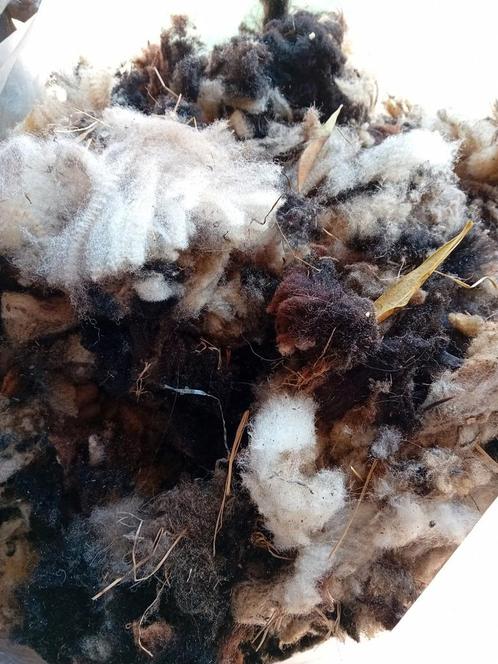 Wol, Hobby en Vrije tijd, Breien en Haken, Ophalen