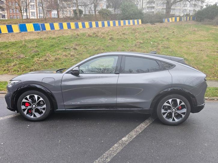 Ford mustang mach E Électrique, Autos, Ford, Particulier, Mustang, Caméra 360°, ABS, Caméra de recul, Phares directionnels, Régulateur de distance
