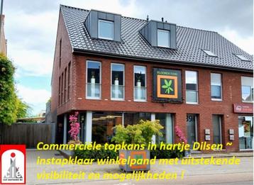 Instapklaar handelspand in hartje Dilsen, Immo, 205 m², 500 tot 1000 m², 2 kamers, Provincie Limburg