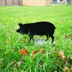 Varken, Tuin en Terras, Tuinbeelden, Ophalen of Verzenden, Nieuw, Metaal, Dierenbeeld