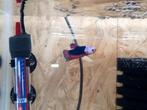 Betta male, Dieren en Toebehoren