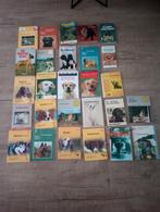 Boeken Honden Boeken Hondenboeken 86 Stuks 86 St, Livres, Animaux & Animaux domestiques, Chiens, Utilisé, Enlèvement ou Envoi