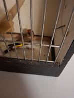 Un couple de chardonnerets bagué 2025, Animaux & Accessoires, Oiseaux | Canaris