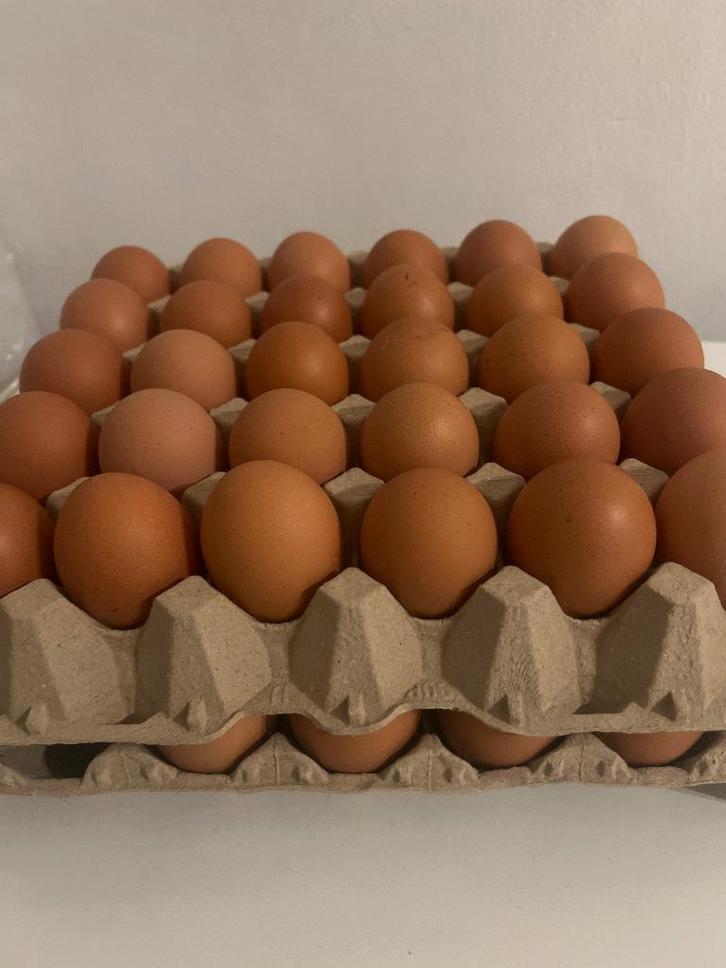 Œufs plein air – lot de 30 (12 €), Divers, Produits alimentaires, Enlèvement ou Envoi