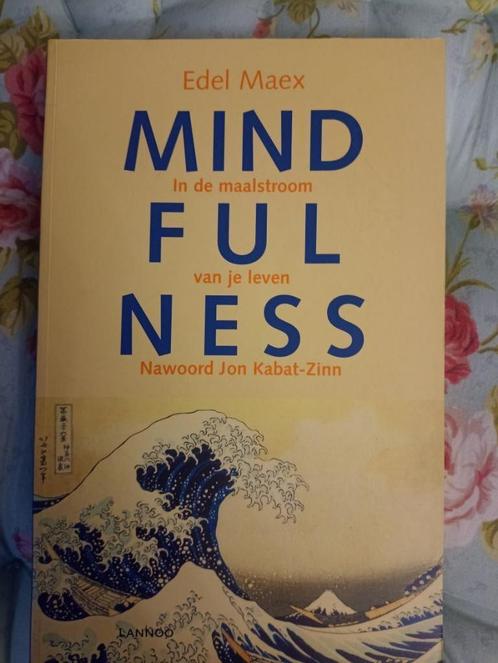 Mindfulness in de maalstroom van je leven, Boeken, Esoterie en Spiritualiteit, Nieuw, Ophalen of Verzenden