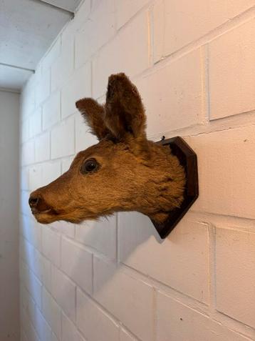 Tête de cerf en peluche, Enlèvement ou Envoi, Comme neuf
