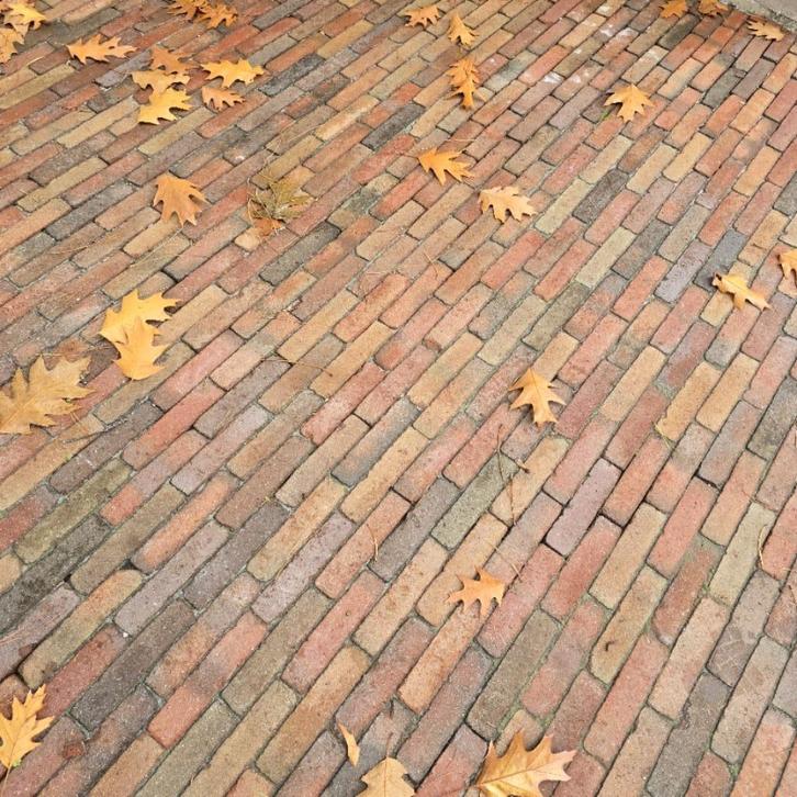 Wienerberger terrasstenen voor ongeveer 10m2 (1 pallet), Doe-het-zelf en Bouw, Metselstenen, Ophalen