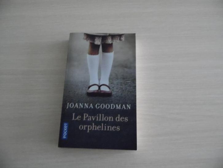 LE PAVILLON DES ORPHELINES      JOANNA GOODMAN, Livres, Romans, Comme neuf, Amérique, Enlèvement ou Envoi