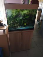 Aquarium Lido 120 Led, Dieren en Toebehoren, Ophalen, Gebruikt, Gevuld zoetwateraquarium