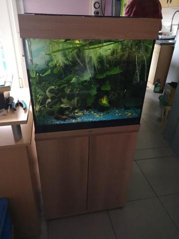 Aquarium Lido 120 Led  beschikbaar voor biedingen