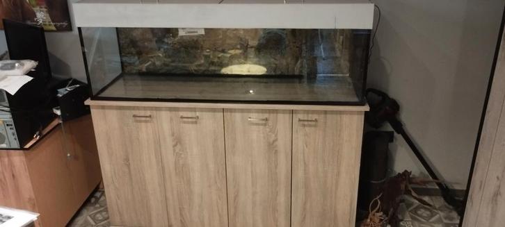 Aquarium, kast en verlichting, Animaux & Accessoires, Poissons | Aquariums & Accessoires, Utilisé, Aquarium vide, Enlèvement