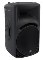 Mackie SRM450, Audio, Tv en Foto, Luidsprekerboxen, Gebruikt, 120 watt of meer, Center speaker, Ophalen
