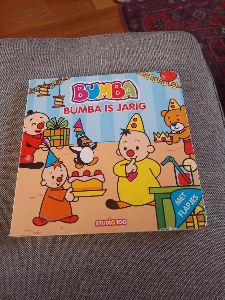 Jan Maillard - Bumba is jarig kartonboek, Boeken, Kinderboeken | Jeugd | onder 10 jaar, Gelezen, Ophalen of Verzenden