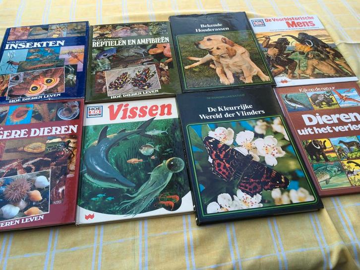 Dieren, Boeken, Dieren en Huisdieren, Zo goed als nieuw, Ophalen