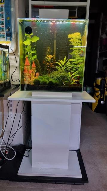 Prachtige moderne aquarium 50L designstuk   beschikbaar voor biedingen