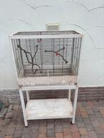 Vogelkooi + staander, Dieren en Toebehoren, Ophalen, Gebruikt, Hout, Vogelkooi