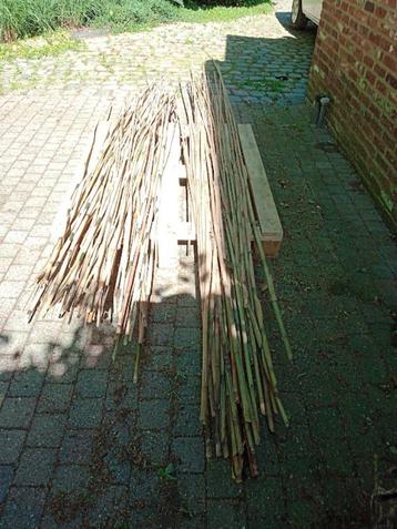 bamboe stokken 10€., Tuin en Terras, Ophalen