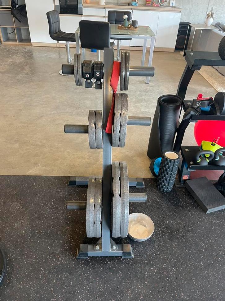 Halterschijven + optioneel houder & bar, Sport en Fitness, Fitnessmaterialen, Zo goed als nieuw, Halterschijven, Ophalen